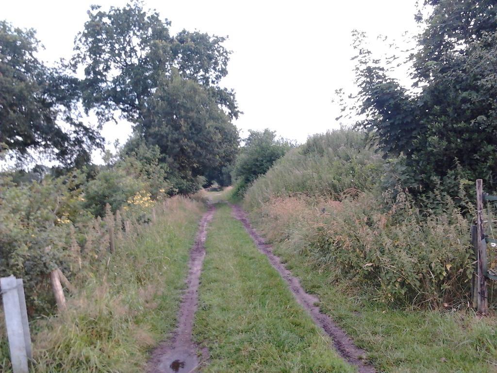 Zuidwolde  B&B In De Backerije חדר תמונה