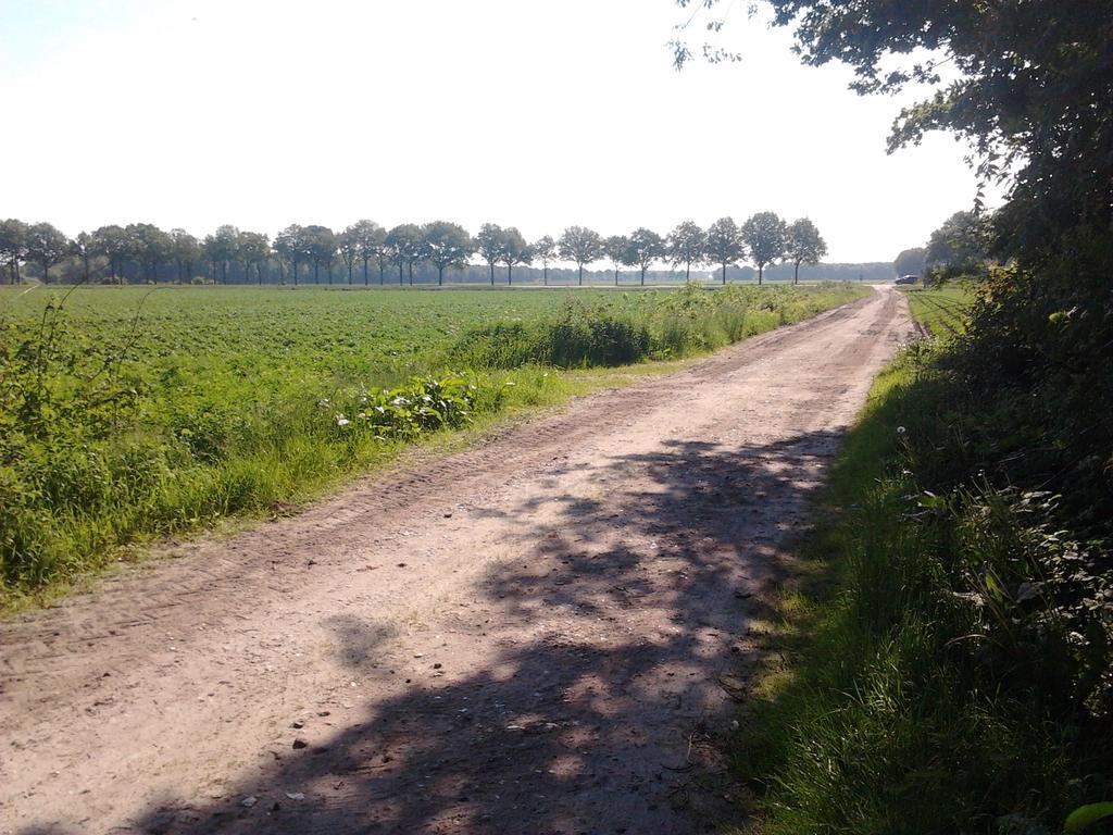 Zuidwolde  B&B In De Backerije חדר תמונה